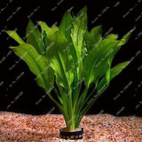 New !!! 1000 Pcs Underwater Aquatic Plants Seeds Moss Aquarium Plant Grass Seeds Fish Tank Landscape Ornamental Decor