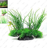 New !!! 1000 Pcs Underwater Aquatic Plants Seeds Moss Aquarium Plant Grass Seeds Fish Tank Landscape Ornamental Decor