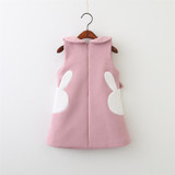Baby Christmas Clothes cute bunny embroidery vest dress children dress winter toddler baby girls vestido 2-6Y Christmas Costume