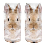 kancoold Coolbeener 3D Printed Animal Women Casual Socks Cute Cat Unisex Low Cut Ankle Socks dec28