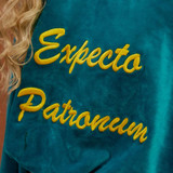 ELF SACK 2018 Spring Women Letter Embroidery Velvet Pullovers Womens Loose High Collar Cool Sweatshirts Girls Chic Tops