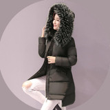 ELEXS 2018 Winter Women Coat Woman Fur Hooded Zipper Long Coat Casual  Outerwear Women Down Parka Owl Painting TSP5889