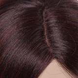 Noble Trendy Lace Wig Kanekalon High Temperature Straight Synthetic Hair Wigs For Black Women Ombre 99J Cosplay Wig FreeShipping