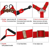 No-Pulling Dog Step-in Harness Leash Adjustable Solid Color Nylon Dog Training Walking Leash Collar for Small Medium Large Dogs