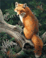 No Frame Fox Animals DIY Painting By Numbers Kits Paint On Canvas Acrylic Coloring Painitng By Numbers For Home Wall Decor 40X50