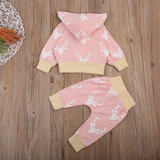 Kid Newborn clothing Set Infant Baby Girl Boy Clothes Long Sleeve Deer Hoodie Tops+Pants Leggings 2Pcs Outfits Set