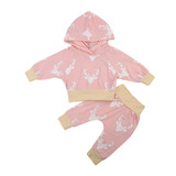 Kid Newborn clothing Set Infant Baby Girl Boy Clothes Long Sleeve Deer Hoodie Tops+Pants Leggings 2Pcs Outfits Set