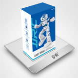 In Stock JJRC R2 USB Charging Dancing Gesture Control Remote Control Robot Toy Blue Pink for Children Kids Birthday Gift Present