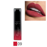 Pudaier Makeup Lip Gloss Cosmetics Long Lasting Pigment Metallic Sexy Red Lip Tint Velvet Matte Nude Liquid Lipstick Maquiagem