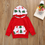 Autumn Newborn Baby Boys Girls Outfits Sweatshirt Hoodie + Pants 2Pcs Warm Outfits Set Clothes