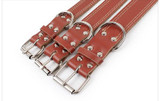 Punk Style Spiked Pet Dog Collar Round Bullet Nail Rivet Studded Collar Neck Strap Pitbull Collar PU Leather Pet roducts