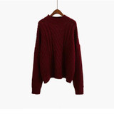 pullover Women 2017 New Plus Size Women's Sweaters Bat Sleeves Autumn Winter Twist Knitted Sweaters Crochet Jackets