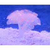 Sucker Coral Aquarium Artificial Coral Silicone Plant With Sucker Ornament Water Landscape Decor Fish Tank Aquarium Accessories