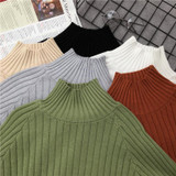 Gogoyouth 2018 Long Sleeve Autumn Winter Sweater Women Turtleneck Ladies Pullover Female Tricot Jersey Jumper Tops Pull Femme