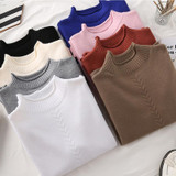 Gogoyouth 2018 Autumn Fashion Ladies Pullover Female Tricot Women Turtleneck Jersey Jumper Winter Sweater Women Top Pull Femme