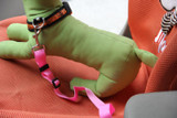 7 Colors Cat Dog Car Safety Seat Belt Harness Adjustable Pet Puppy Pup Hound Vehicle Seatbelt Lead Leash for Dogs Drop Shipping