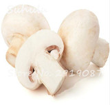 60 pcs Rare White Mushroom Seeds Organic Delicious Healthy Geen Vegetables Bonsai Seeds Diy Home Garden Plants Easy Grow