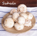 60 pcs Rare White Mushroom Seeds Organic Delicious Healthy Geen Vegetables Bonsai Seeds Diy Home Garden Plants Easy Grow