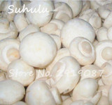 60 pcs Rare White Mushroom Seeds Organic Delicious Healthy Geen Vegetables Bonsai Seeds Diy Home Garden Plants Easy Grow