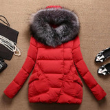 2017 Autumn Winter Jacket Women Parkas for women Thick Warm Wadded Jackets and coats With a Hood Large Faux Fur Collar Coat