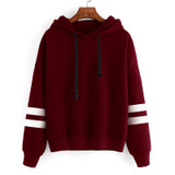 2017 Autumn Winter Hooeded Sweatshirt Women Embroidery Pullover Long Sleeve Flower Streetwear Fleece Hoodies Fashion Clothing