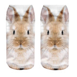 3D Printed Decoration Animal Women Socks Casual Cute Cat Unisex Low Cut Ankle Sock Novel Style Moistureproof Sokken Socks Meias