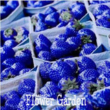 Best-Selling!50 PCS/Lot Blue Rare Fruits And Vegetables Strawberry Seeds Home Garden Fruits Potted Plant,#VYO7Y1