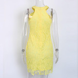 DeRuiLaDy Women Mini Bodycon Dress Elegant Wedding Party Sexy Night Club Casual Dresses Halter Neck Sleeveless Lace Summer Dress