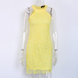 DeRuiLaDy Women Mini Bodycon Dress Elegant Wedding Party Sexy Night Club Casual Dresses Halter Neck Sleeveless Lace Summer Dress