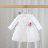 2016 autumn and spring sweet children's wear girls long sleeved dress clothes baby Lace Princess Dress for clothes baby girls