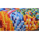 170X50CM 5D Round Diamond Painting Cross Stitch kit Butterfly flowers pictures for Diamond embroidery Diy Diamond mosaic flowers