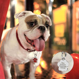Glitter  Custom Pet Dog Tag Personalized Engraved Dogs Cat ID Tags Free Hook & Bell Pink Blue Silver Red Colors Paw Shape