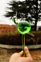 Glass Snail Watering Cans bird Sprayers drip irrigation emitter automatic