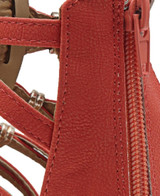 Gladiators - Coral