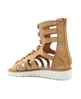 Gladiators - Camel