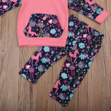 Autumn Floral Newborn Toddler Kids Girls Long Sleeve Hooded Tops+Pant Legging 2PCS Outfit Tracksuit Autumn Clothing Set