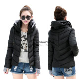 Girl Winter Zipper Jacket Women Parka Thicken Outerwear Anorak Women Down Parka Coats, Short Slim Design Cotton-padded Plus Size