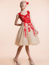 Lace Applique A-line Mini Evening Dress