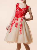 Lace Applique A-line Mini Evening Dress