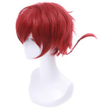 L-email wig Brand New 25cm Women Men Cosplay Wigs Red Burgundy Short Heat Resistant Synthetic Hair Perucas Unisex Cosplay Wig