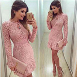 2016 Autumn Fashion Casual Womens Sexy Dresses Party Night Club Dress Fall Long Sleeve Pink Lace Dress Brasil Vestidos De Festa 2016 Autumn Fashion Casual Womens Sexy Dresses Party Night Club Dress Fall Long Sleeve Pink Lace Dress Brasil Vestidos De Festa