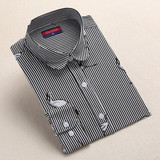 Dioufond Long sleeve blouse shirt women tops Casual 2017 summer Animal striped shirt Cotton white blouse chemise femme blusas