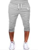 2017Men Shorts Men Casual Short Board Male Workout Shorts Men'S Casual Exercise Boardshorts Bermudas Masculina De Marca SJYH
