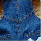 BibiCola 2017 Infant Girl Overalls Cute Toddler Clothing Cartoon Baby Boys Girls Bib Pants Baby Girl Casual Trousers