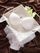 2017 Sexy Underwear Women Bra Set Lingerie Set Luxurious Vintage Lace Embroidery Push Up Bra And Panty Set