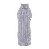 2017 Sexy Backless Women Sweaters And Pullovers Autumn New Turtleneck Sleeveless Long Virgin Killer Sweater Japanese Knitted