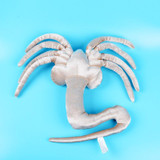 Alien Plush Toy Facehugger &amp; Chestburster 48 Inches Long Plushes Dolls with Tag