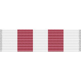 Alaska National Guard Humanitarian Service Ribbon