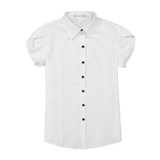 2017 Chiffon Blouses Work Wear Women Shirt Turn Down Collar Blusas Femininas Tops Elegant Ladies Formal Office Blouse