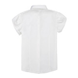 2017 Chiffon Blouses Work Wear Women Shirt Turn Down Collar Blusas Femininas Tops Elegant Ladies Formal Office Blouse